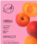 Саше ароматизированное AROMA Summer 