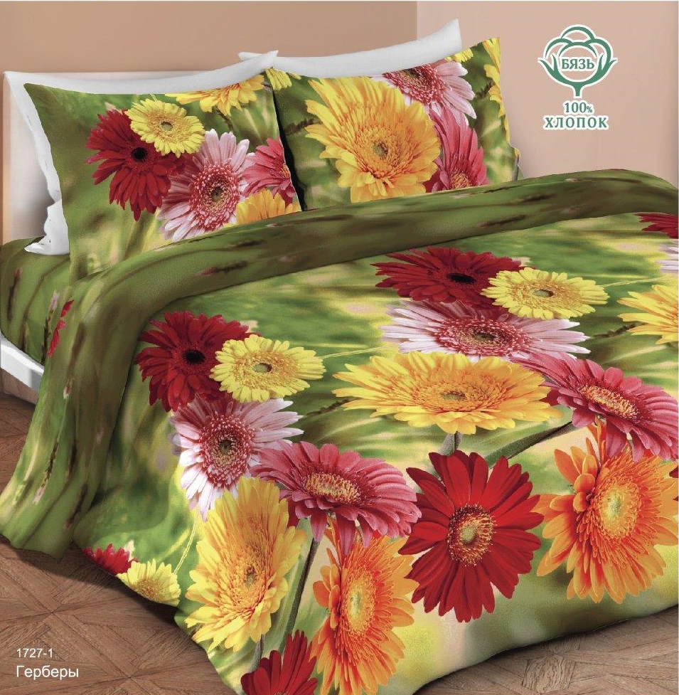 КПБ Маруся ДиС Герберы 1727 - 0