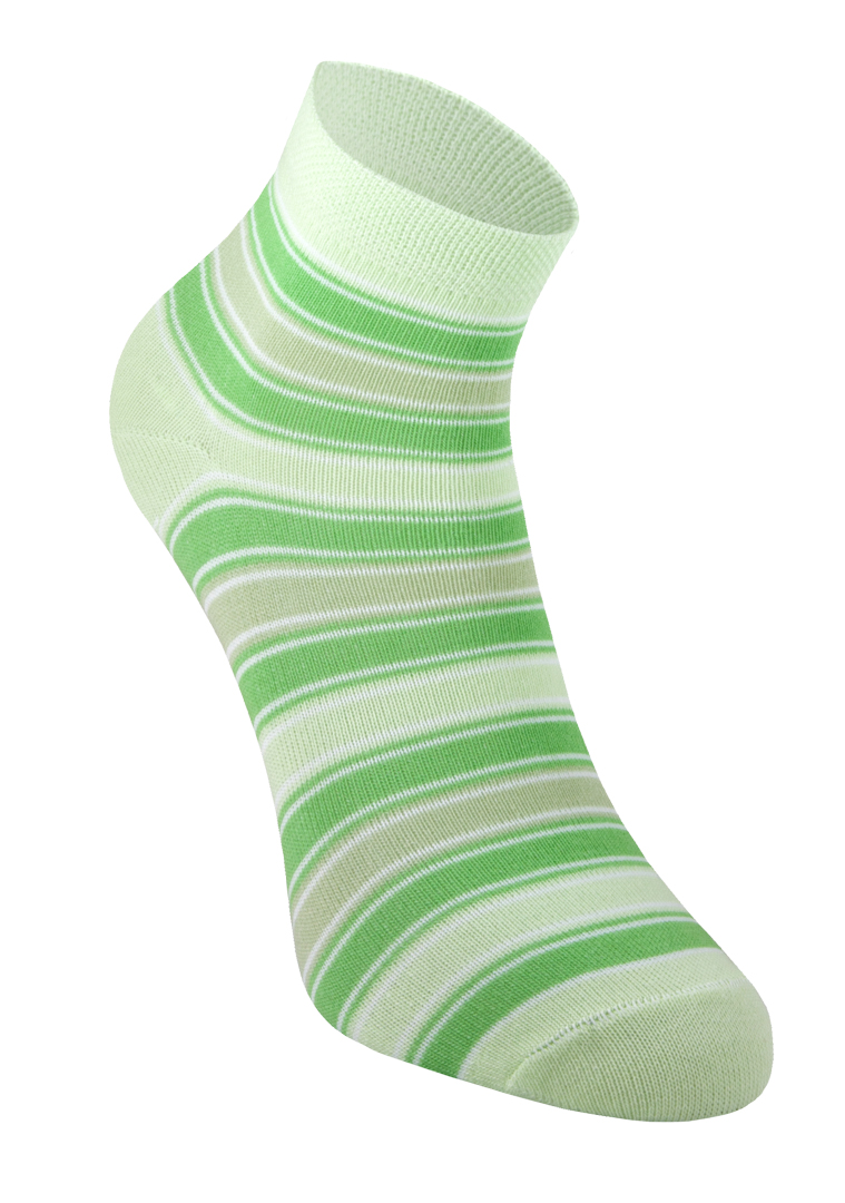 Носки жен. (р-р 25) арт. Ж003 - 1