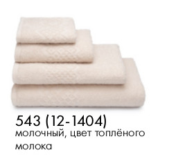 Полотенце махровое цв.12-1404 ДМ ПТ-05577 Flashlight - 0