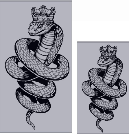 Полотенце махровое цв.10000 ДМ ПЛ-06411 Silver serpent - 0