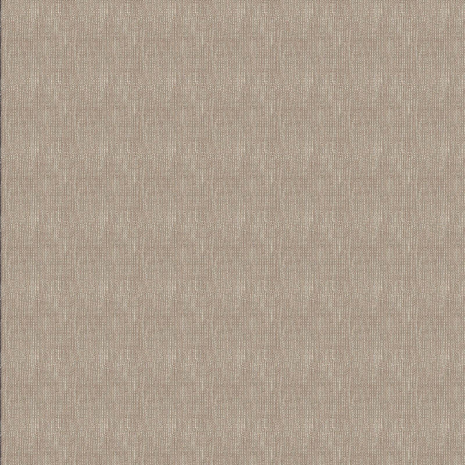 Бязь Премиум 220 см наб 72242-2 Виве - 1