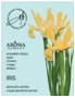 Саше ароматизированное AROMA Spring 