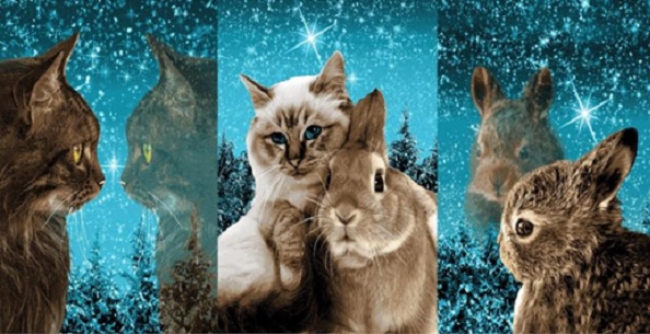 Полотенце вафельное 46*60 см Сияние ДНТС НГ 1 - 0