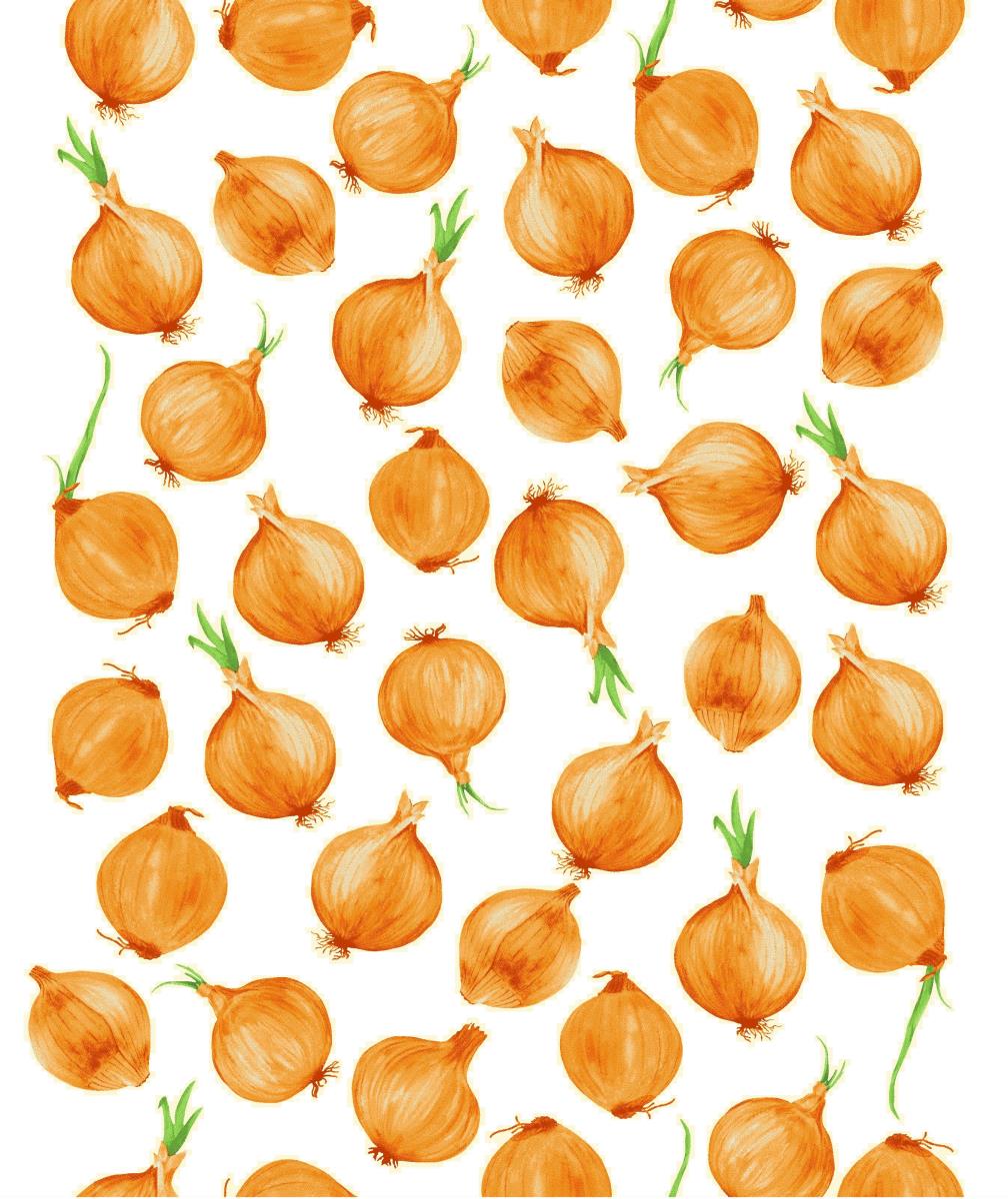 Полотно вафельное 50 см наб рис.29127-4 Лучок - 1