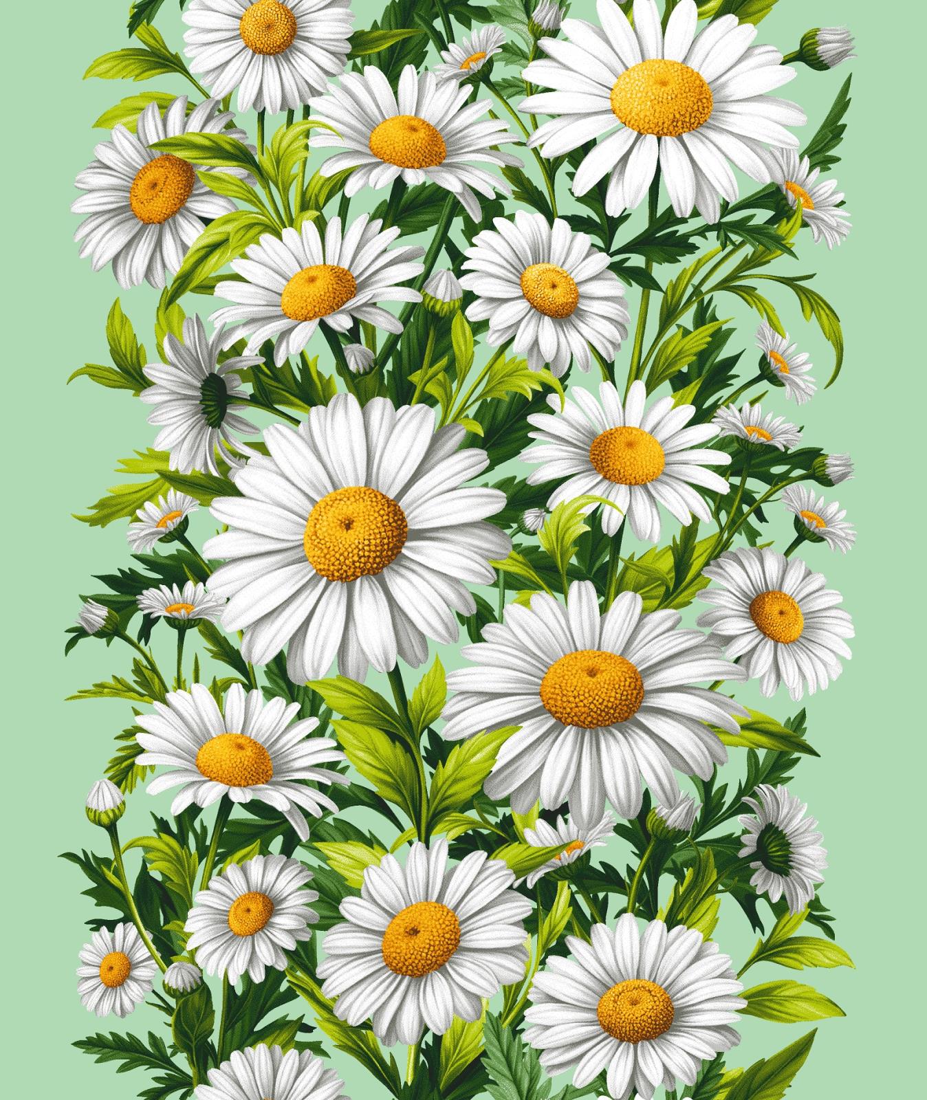 Полотно вафельное 50 см наб рис.29440-2 Ромашки - 0