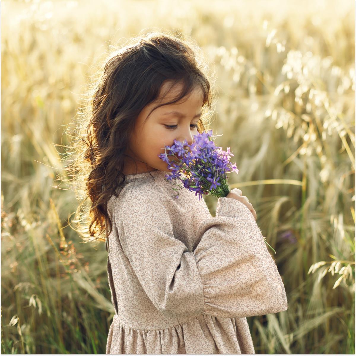 Перкаль 150 см наб рис.13506-4 Алиса - 2