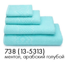 Полотенце махровое цв.13-5313 ДМ ПТ-05577 Flashlight - 0