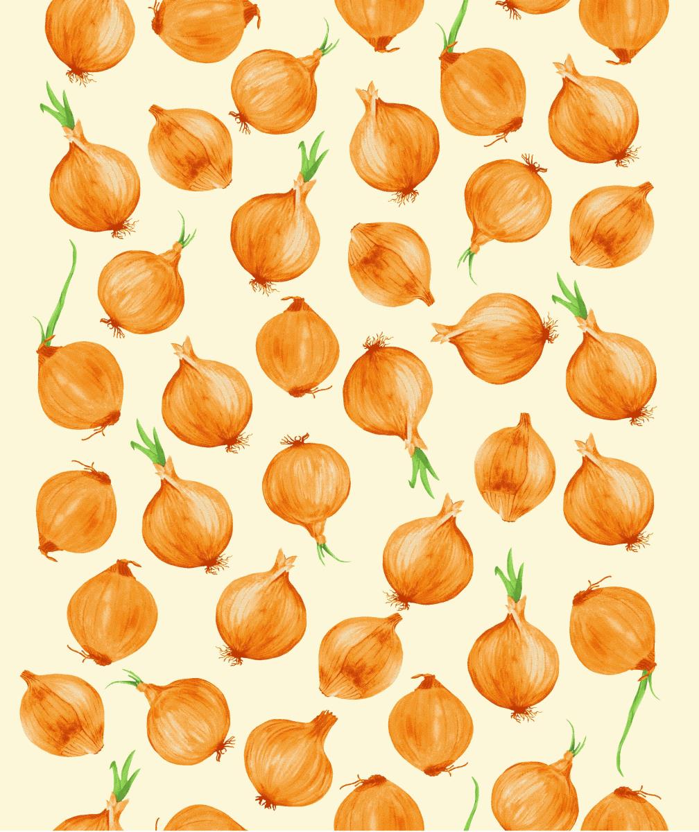 Полотно вафельное 50 см наб рис.29127-1 Лучок - 1