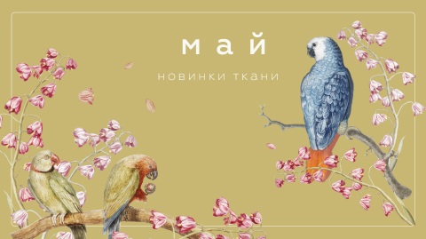Новинки мая 2025