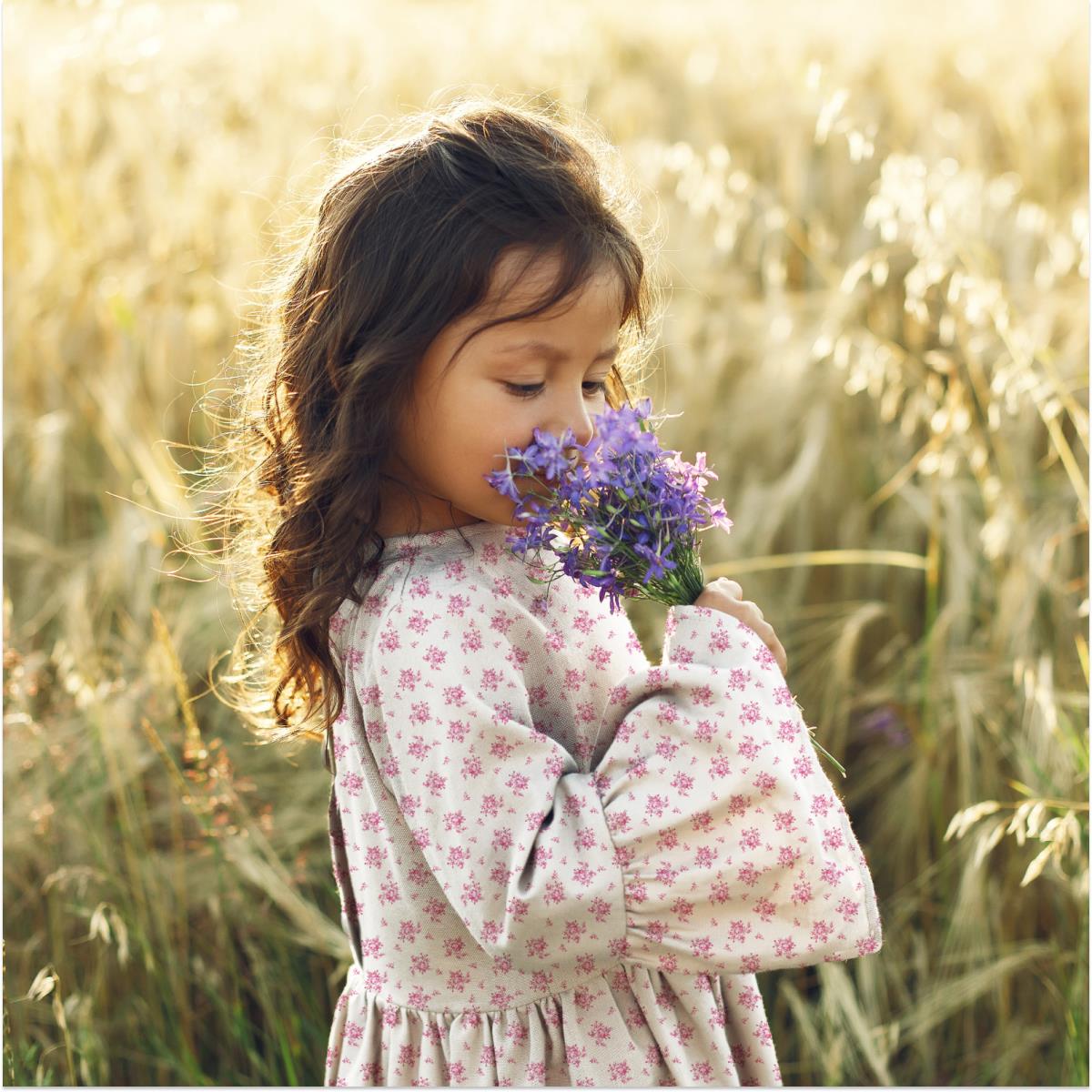 Перкаль 150 см наб рис.13509-1 Клара - 2