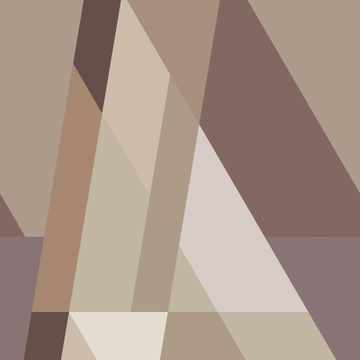 Бязь Премиум 220 см наб рис.50428-2 Игра света коричневый - 1