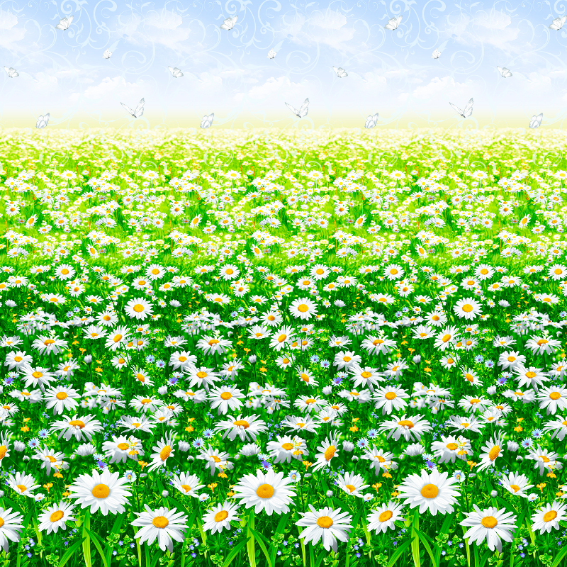 Бязь наб 220 см Премиум рис.6291-1 гр - 1