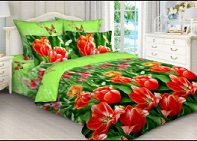 КПБ Маруся рис.3036/1 ДИС - 0