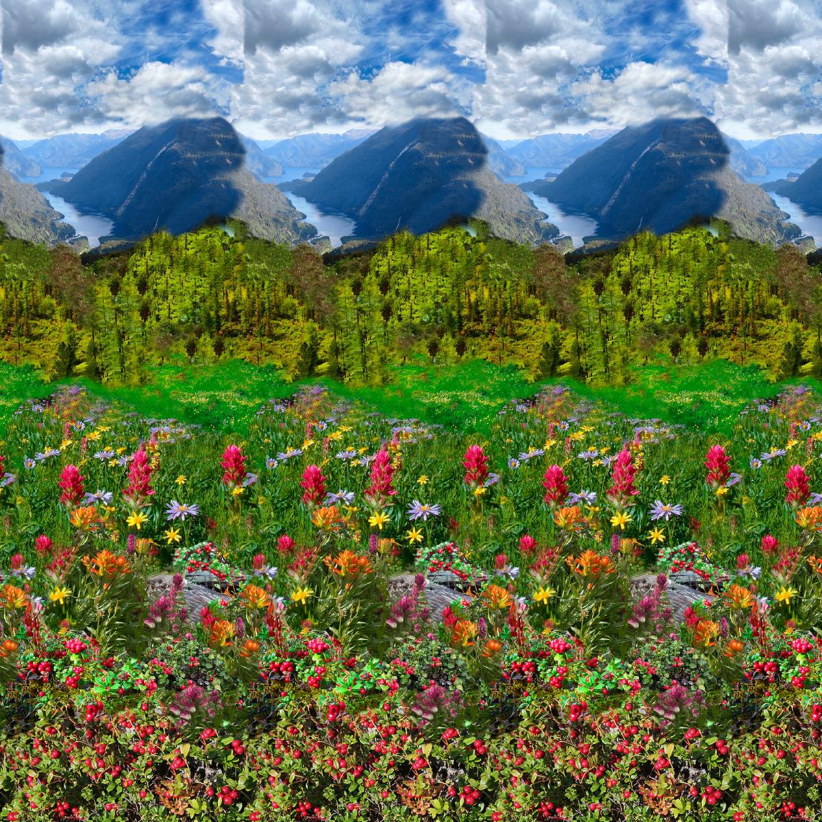 Бязь Премиум 220 см наб рис.6734-1 Алтайские просторы - 1