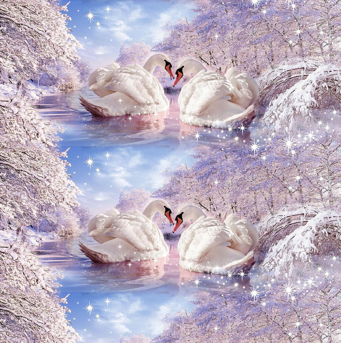 Бязь Премиум 150 см наб рис.13133-1 Лебединая верность - 1