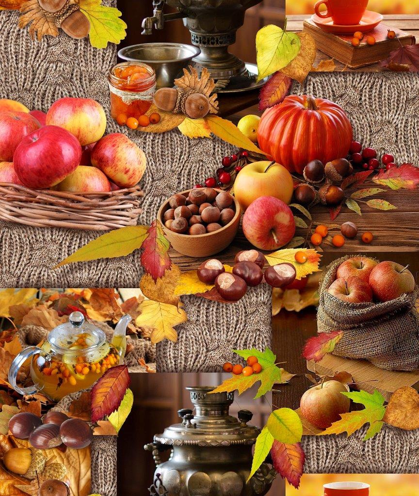 Полотно вафельное 50 см наб рис.5607-1 Осень - 0