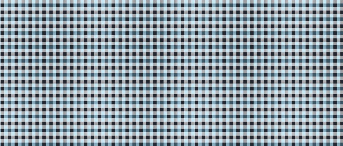 Фланель 150 см наб рис.64057-1 Дуглас голубой - 1