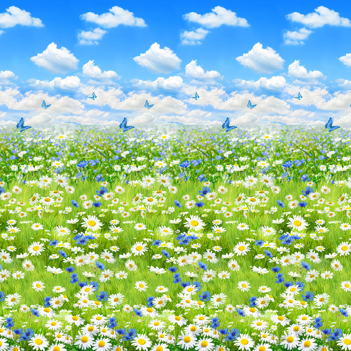 Бязь Премиум 220 см наб рис.6394-1 - 1