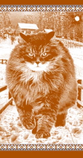 Полотенце махровое пестротканое Сибирский кот 70х140 ПМТ 6861 - 0