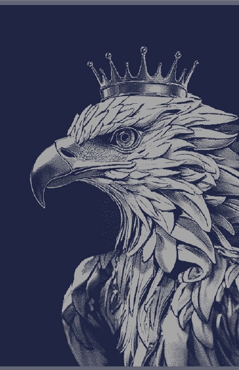 Полотенце махровое цв.10000 ДМ ПЛ-06480 Free Eagle - 0