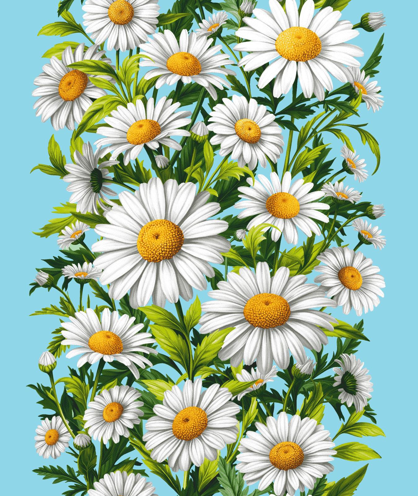 Полотно вафельное 50 см наб рис.29440-1 Ромашки - 0