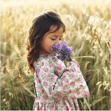 Перкаль 150 см наб рис.13505-1 Розалия