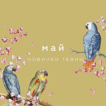 Новинки мая