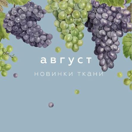 Новинки августа