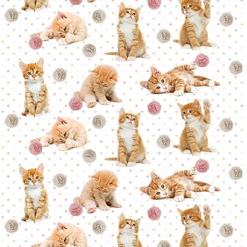 Перкаль 150 см наб рис.16084-1 Рыжие котята
