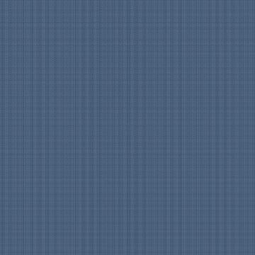 Рогожка 150 см наб арт. 902 29427-1 Акцент