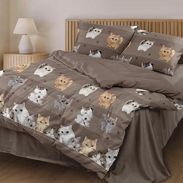 КПБ бязь Любимый дом рис.50220-1/24500-9 Томми н/у