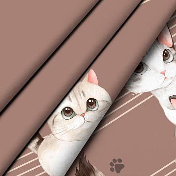 КПБ бязь Любимый дом рис.50220-1/24500-9 Томми н/у