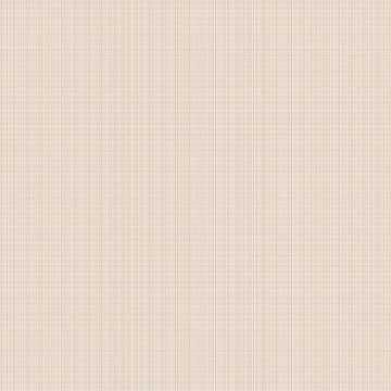 Рогожка 150 см наб арт. 902 29427-5 Акцент