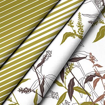 КПБ перкаль Fine Line рис.60386-1/60180-2 Алегра