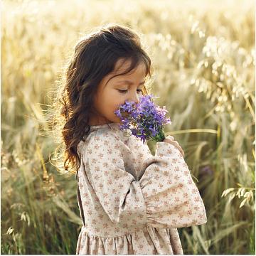 Перкаль 150 см наб рис.13509-4 Клара