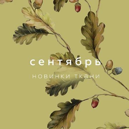 Новинки сентября