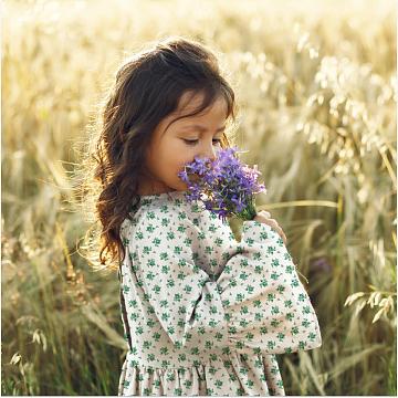 Перкаль 150 см наб рис.13509-2 Клара