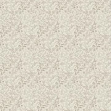 Перкаль 220 см наб рис.50014-2 Ботаника бежевый